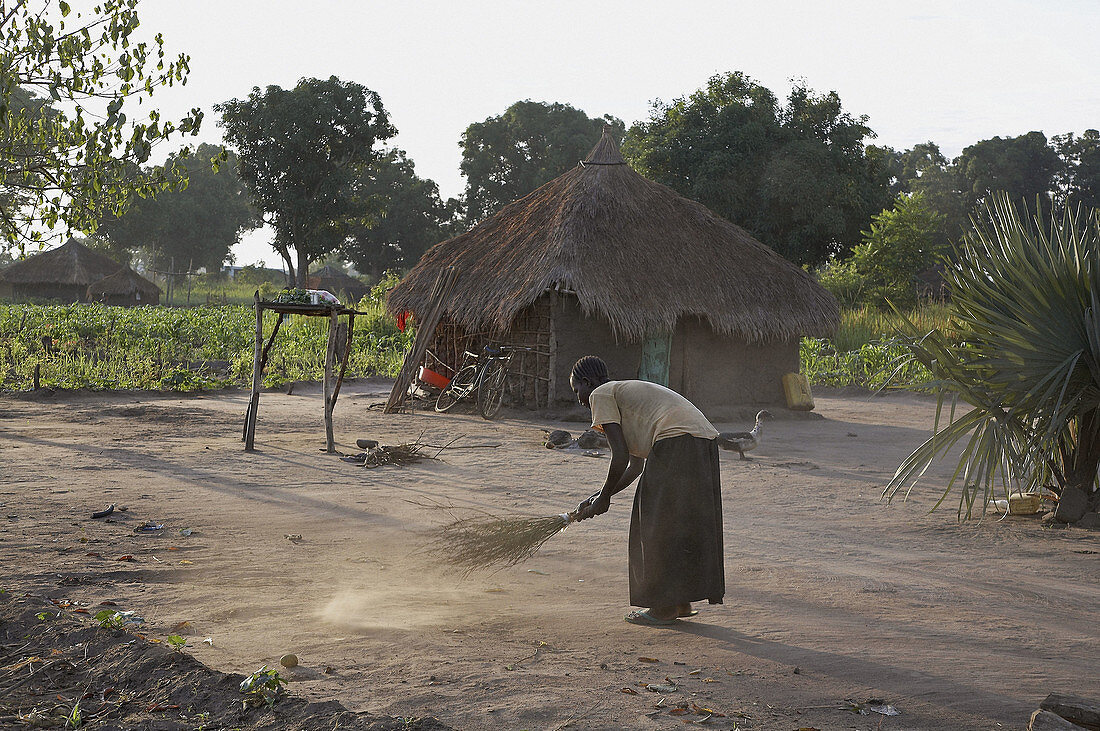 SOUTH SUDAN  Early morning scene on a farm homestead of Yei  Woman sweeping the yard of her home