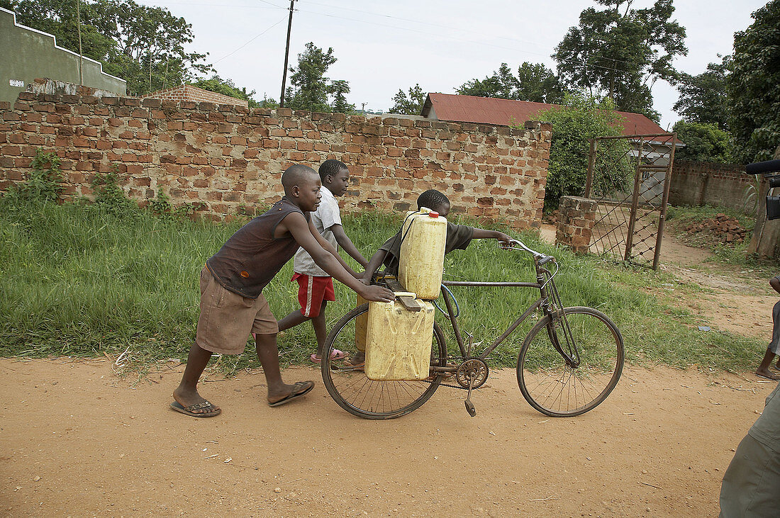 UGANDA  Boys carrying water, Mukono District