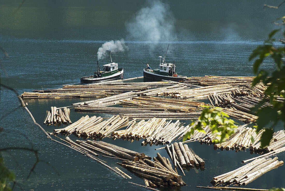 Log boom boats organizing logs at Adans Lake saw mill, BC, Canada