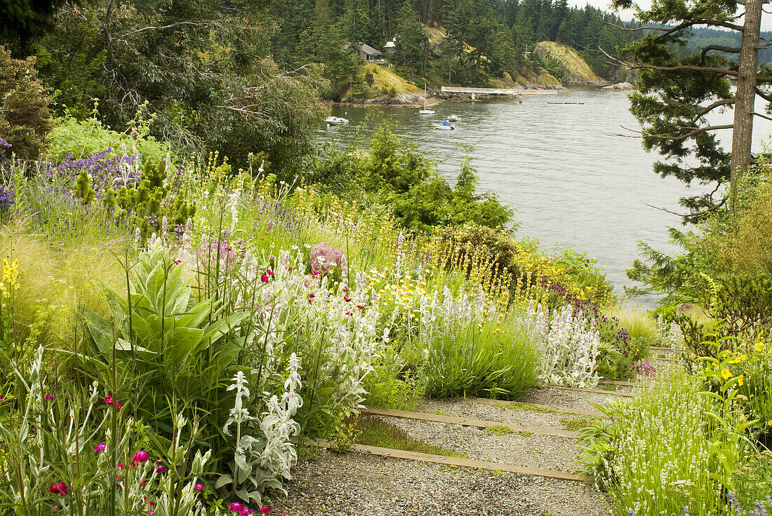 Canada, BC, Bowen Island  Garden path leading to beach  Bowen Island is located near Vancouver, BC in Howe Sound  This garden is designed using plants that are not attractive to deer