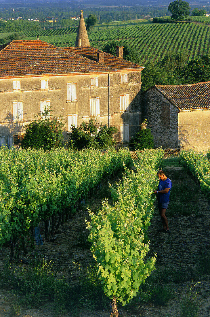 Château and vineyards, Gaillac, Tarn, Midi-Pyrenees, France