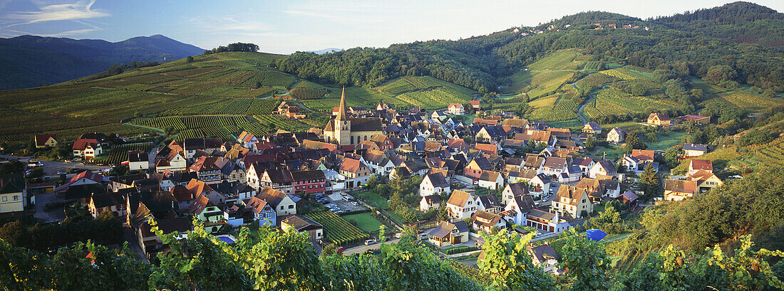 Niedermorschwihr, Alsace, France