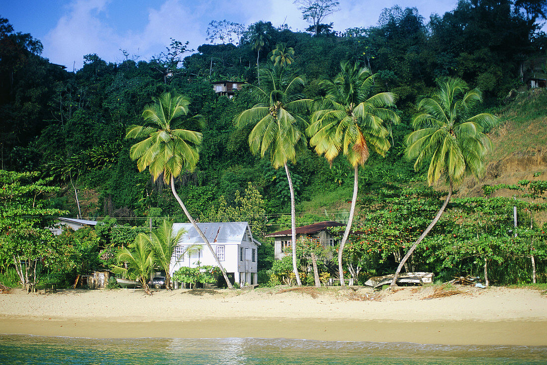 Beach hut, Parlatuvier, Trinidad and Tobago