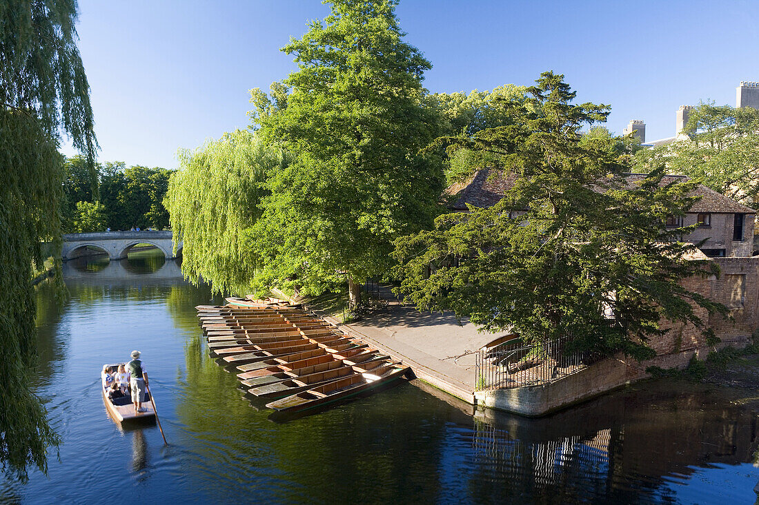 Punting along The Backs, Cambridge, Cambridgeshire, UK