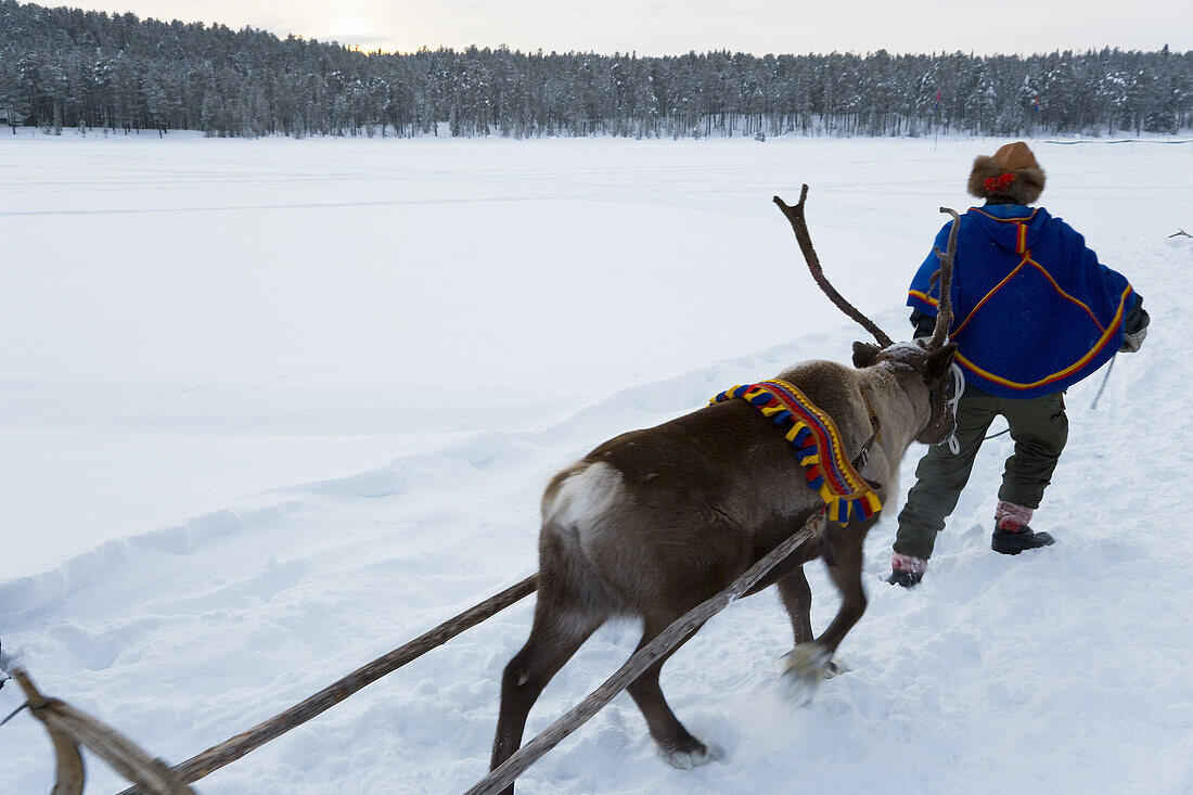 Reindeer herder. Jokkmokk, Northern Sweden