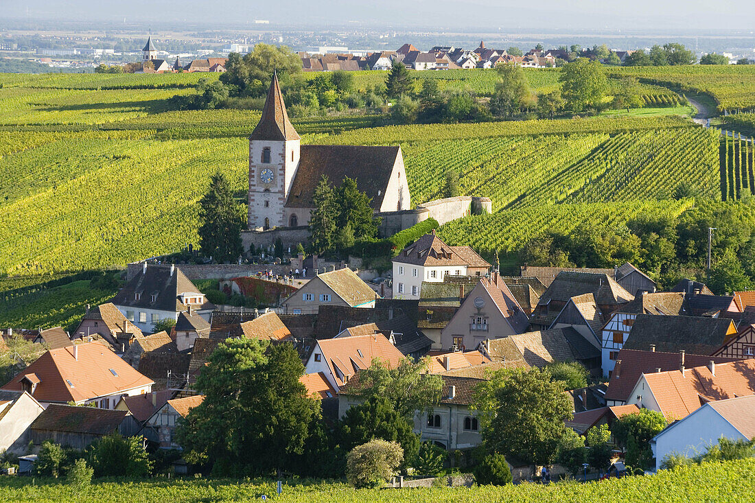 Hunawihr village and vineyards, Alsace, France