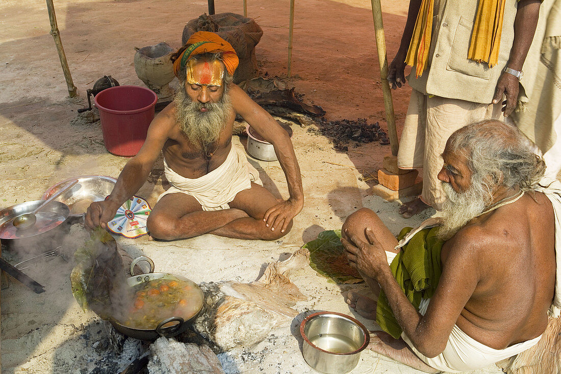 Sadhu at Kumba Mela festival, Allahabad, Uttar Pradesh, India