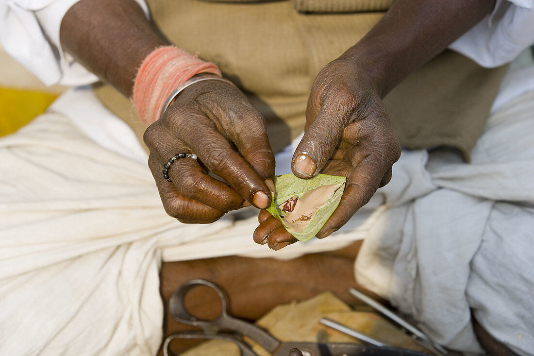 Pan Masala (Betel Nut), India