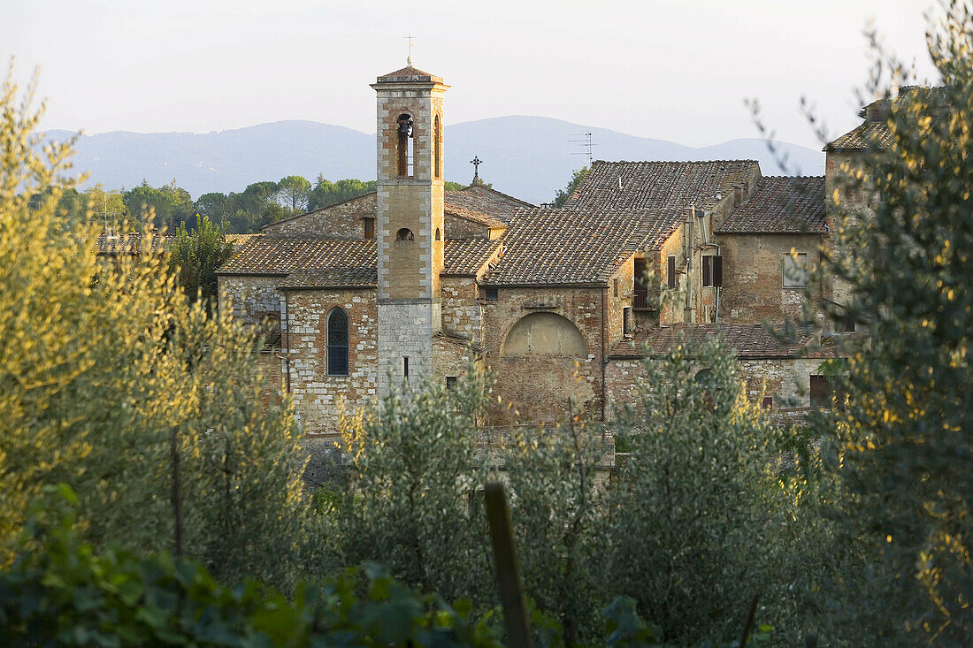 Colle di Val dElsa. Tuscany. Italy