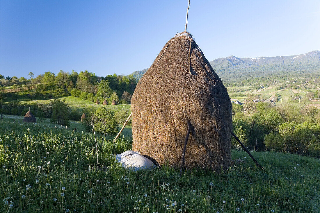 Hay stack, Breb, Maramures, Romania