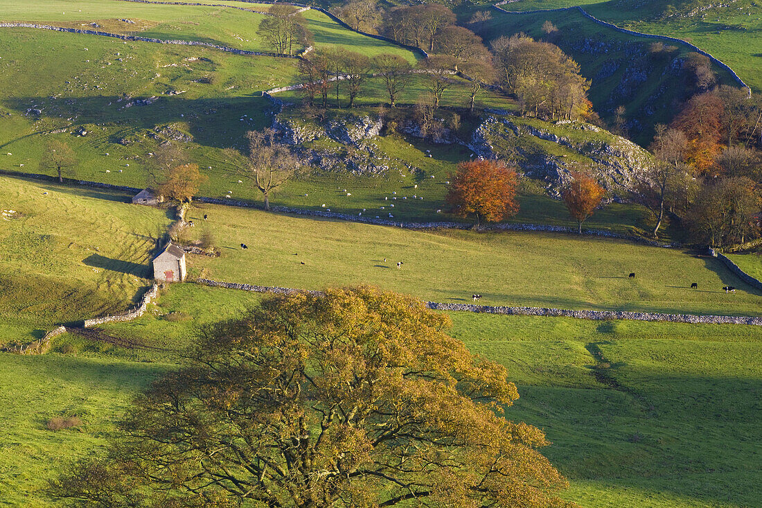 Upper Dove Valley, White Peak, near Buxton, Peak District, Derbyshire, UK. Farmland & autumn valley