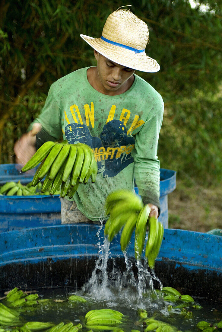 Leon Nilson. Works in Caroebe cooperative, Roraima, specialized in bananas. Brazil.