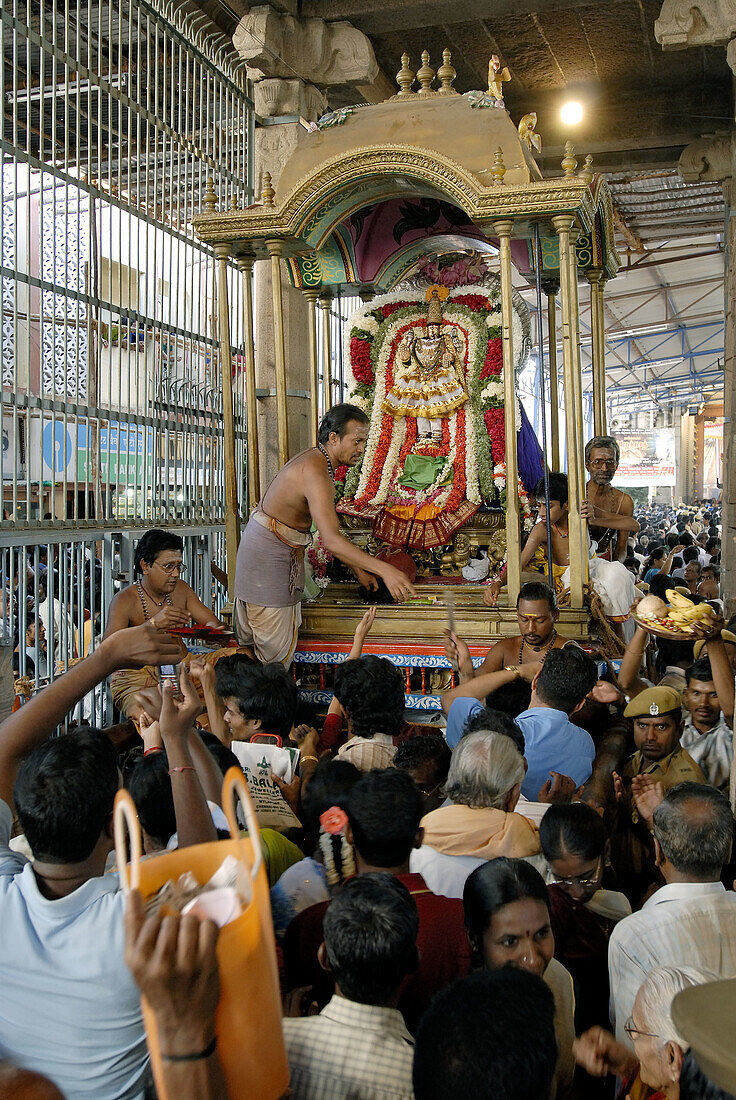 Devotees worshipping the Goddess Karpagambal during the Aruvaththumoovar festival in Kapaleeswara temple, Mylapore, Chennai, India.
