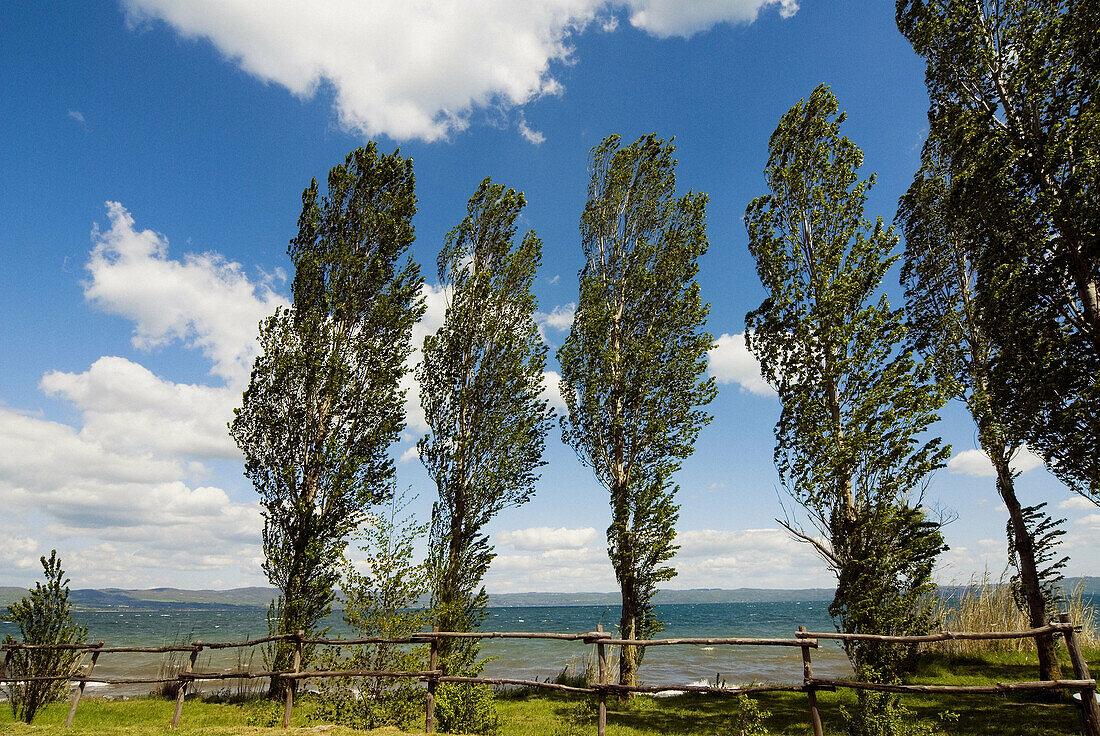 Lake Bolsena, view from San Magno Area, Viterbo, Lazio, Italy