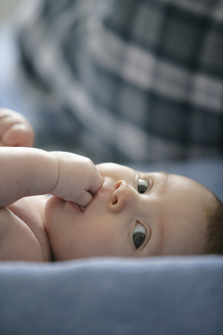 Baby (8 Monate) mit Finger im Mund blickt in die Kamera, Wien, Österreich