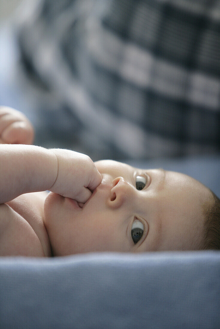 Baby girl (8 month) looking at camera, Vienna, Austria