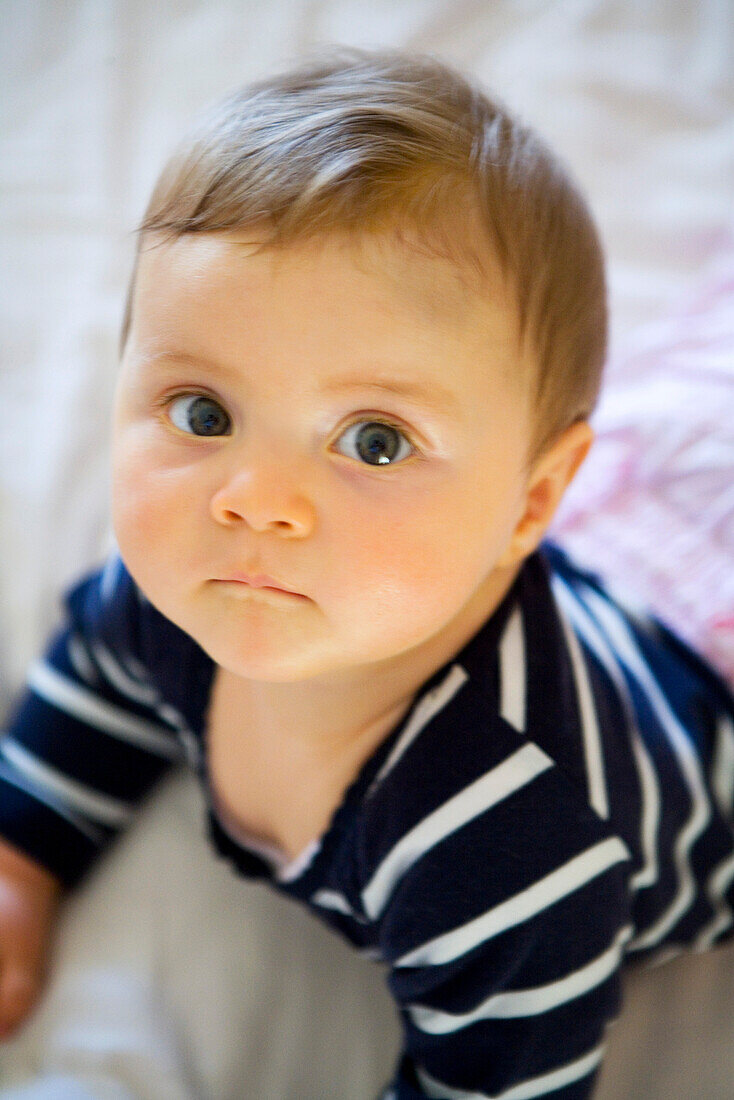 Baby (8 Monate) blickt in die Kamera, Wien, Österreich