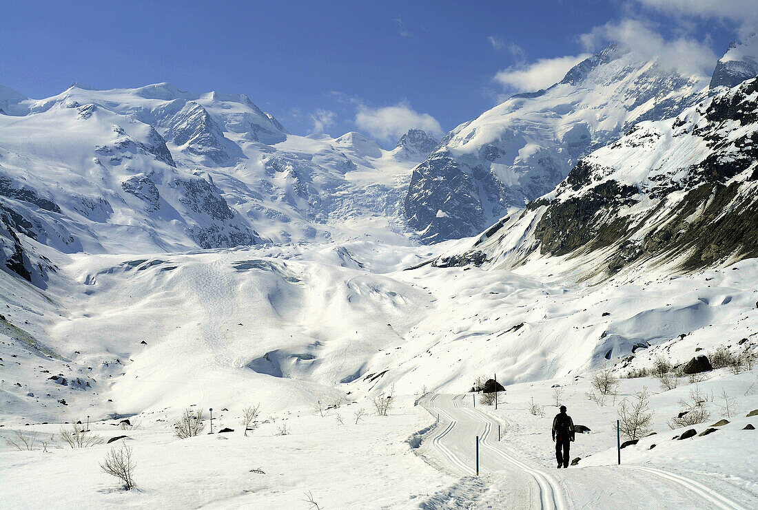 Skispuren im Schnee, Morteratsch-Tal, Graubünden, Schweiz