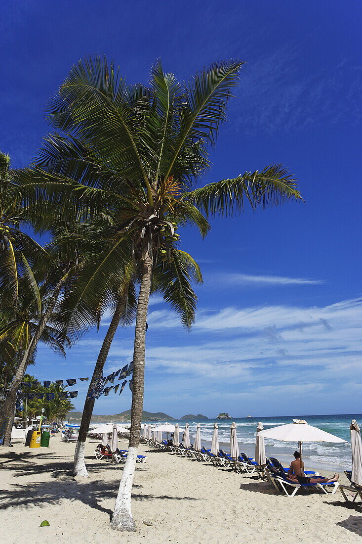 Palmenstrand, Playa El Aqua, Isla Margarita, Nueva Esparta, Venezuela