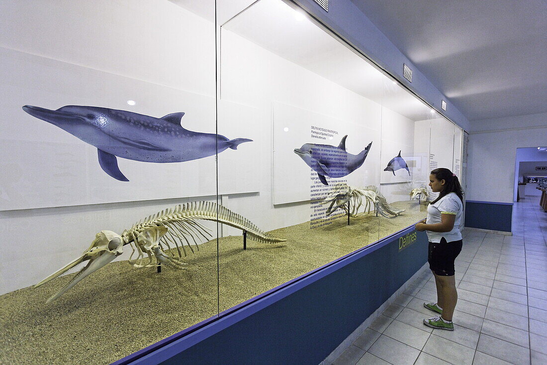 Marinemuseum, Boca del Rio, Isla Margarita, Nueva Esparta, Venezuela