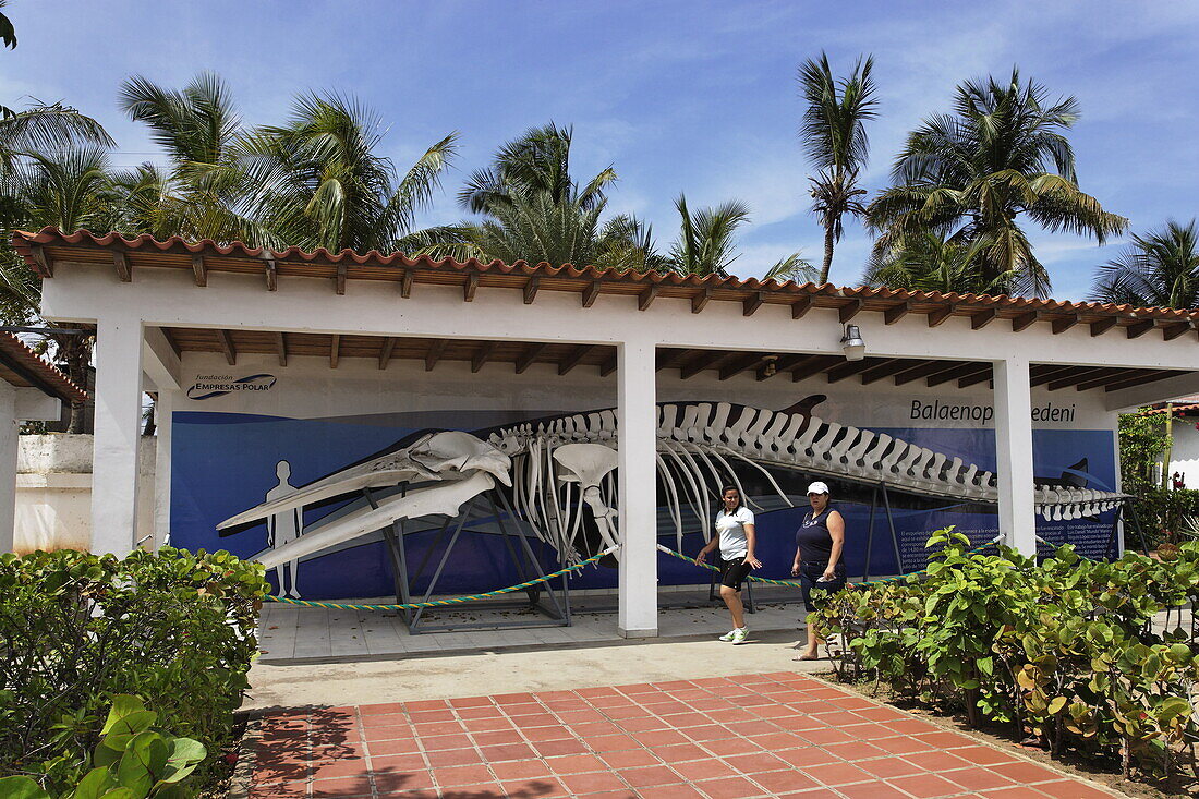 Marinemuseum, Boca del Rio, Isla Margarita, Nueva Esparta, Venezuela