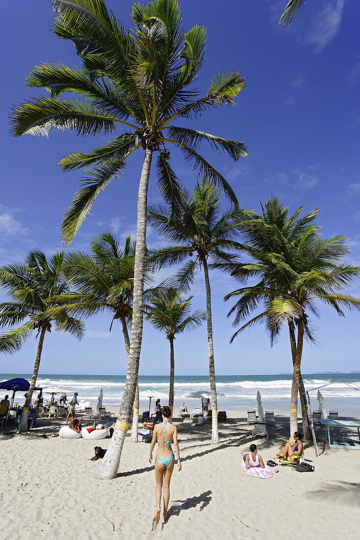 Palm trees at Playa El Aqua, Isla Margarita, Nueva Esparta, Venezuela