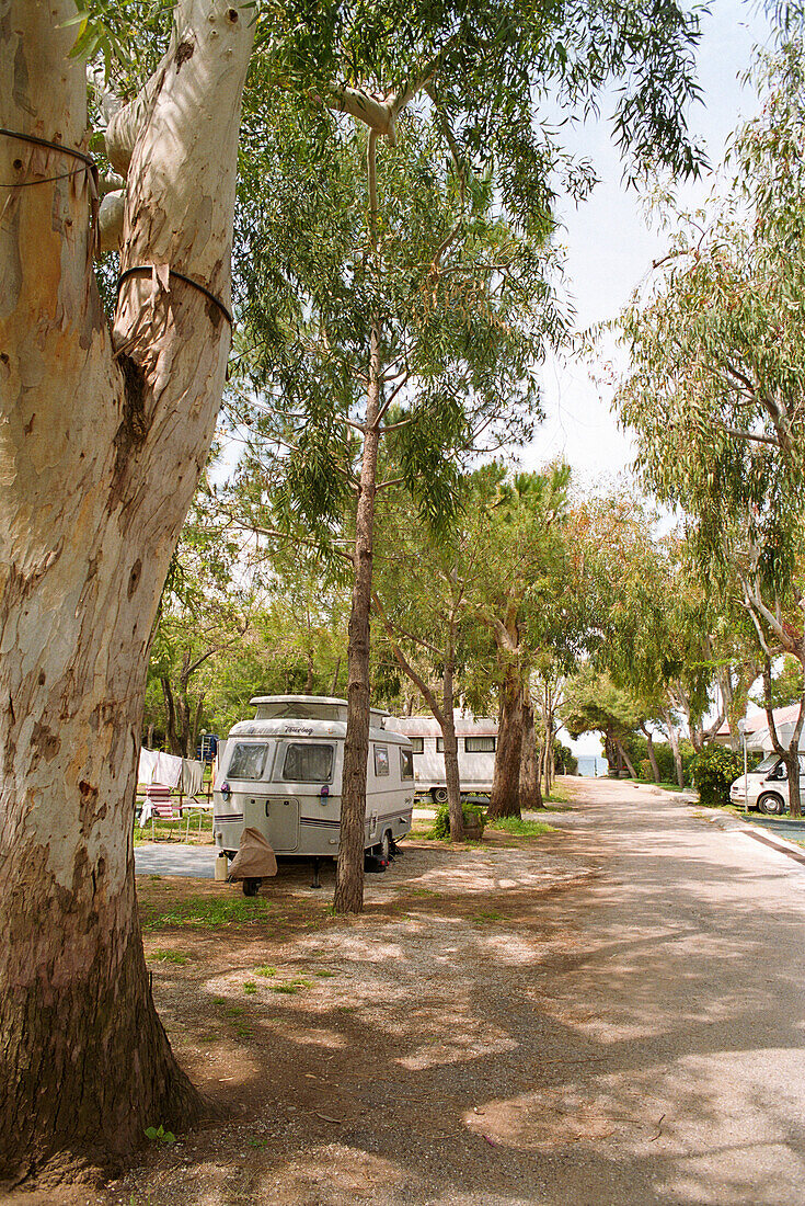 Caravan and trailers, camping site, Castellabate, Cilento, Italy