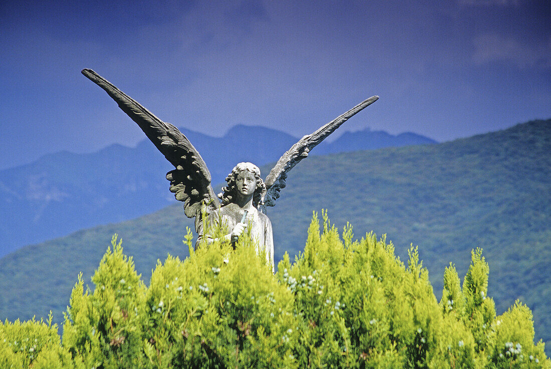 Engel hinter einer Hecke, Morcote, Tessin, Schweiz, Europa