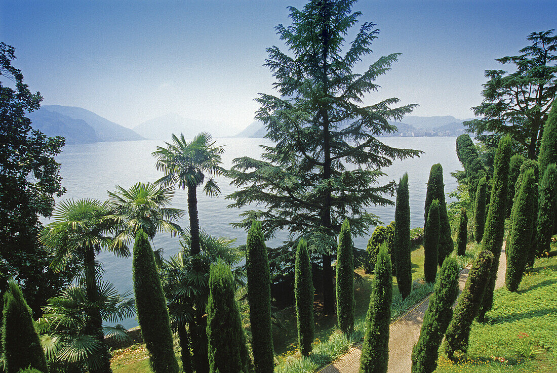 Palmen und Zypressen am Ufer des Lago di Lugano im Sonnenlicht, Tessin, Schweiz, Europa