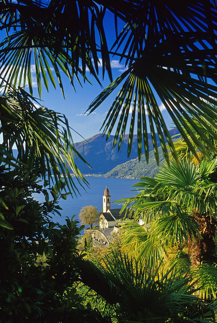 Blick über die Kirche von Ronco sopra Ascona zum Lago Maggiore, Tessin, Schweiz, Europa