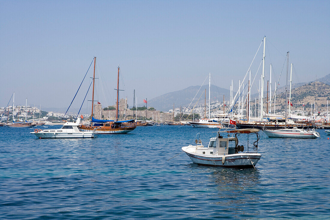 Fishing boats in front of the coastline, Bodrum, Turkey, Europe
