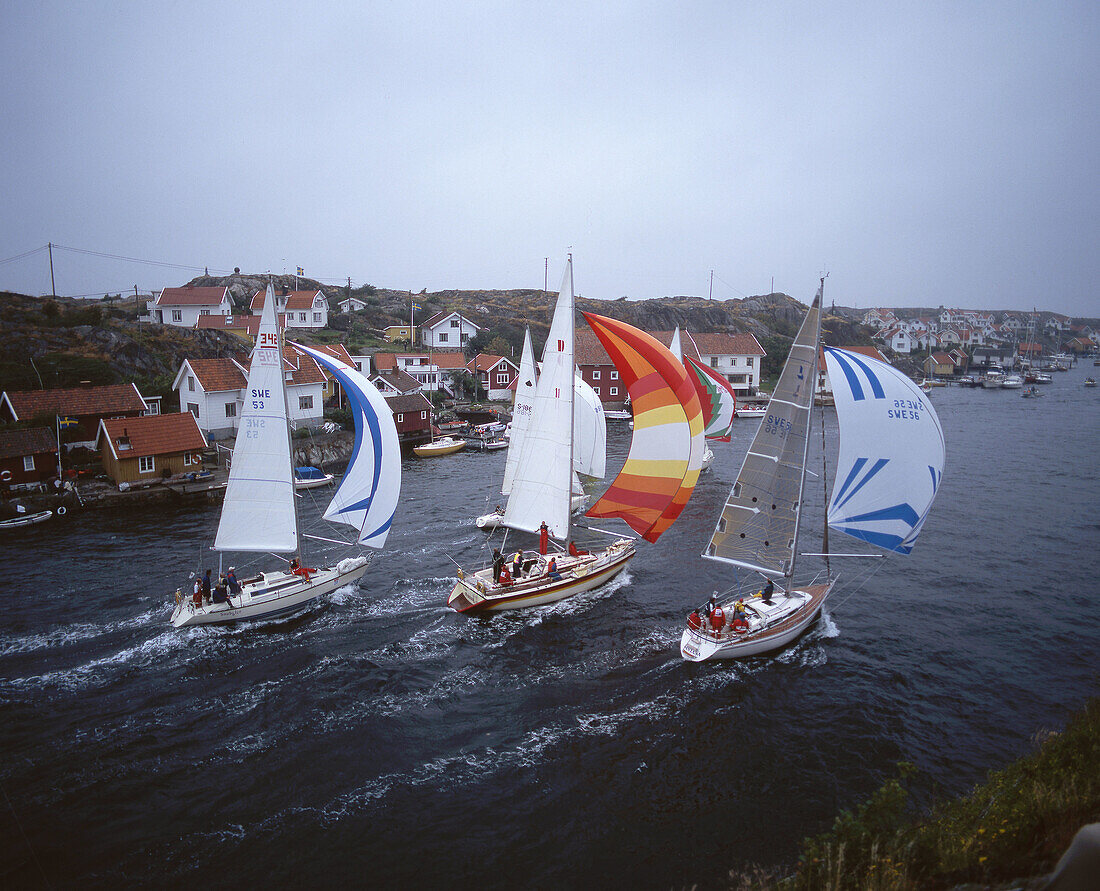Tjörn runt sailing competition, Bohuslän, Sweden