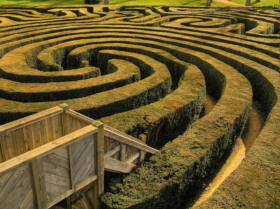 Labyrinth