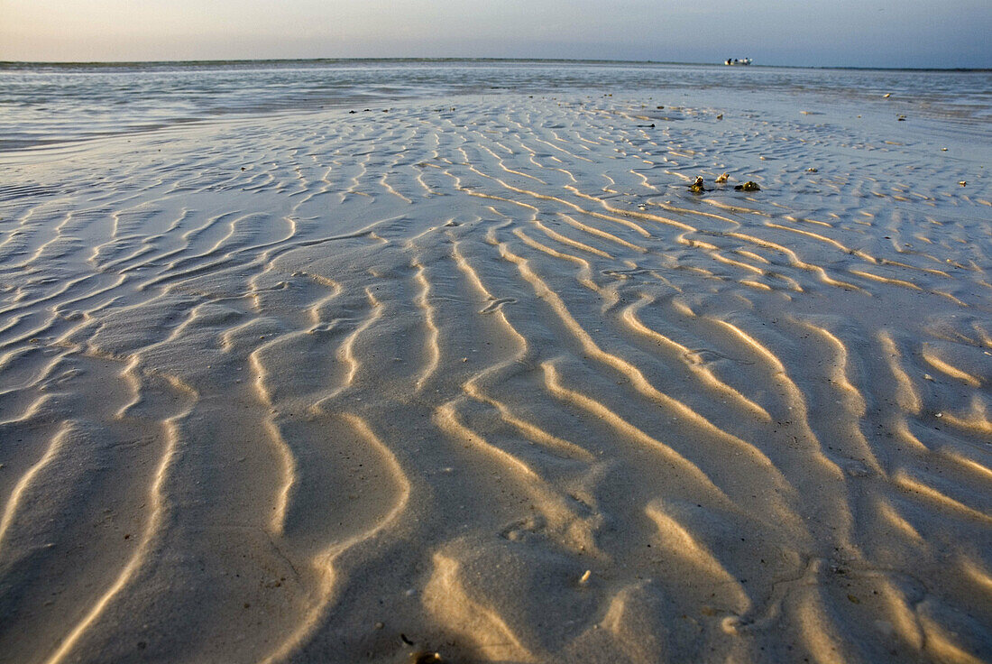 Isla Holbox. Mexico.