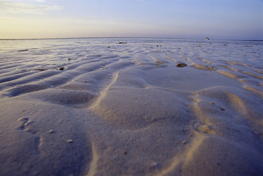 Isla Holbox, Quintana Roo, Mexico