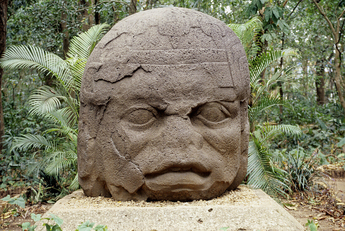 Olmec head at the La Venta Park. Villahermosa, Tabasco state, Mexico