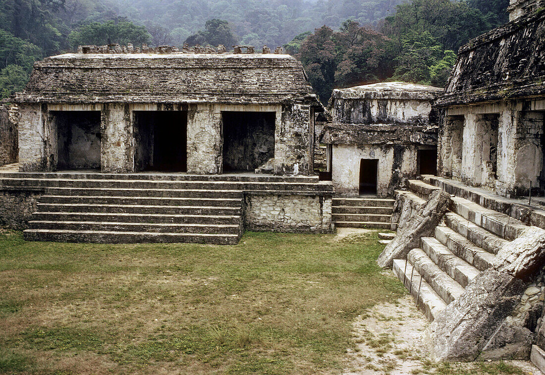 Palenque Maya archaeological site. Chiapas, Mexico