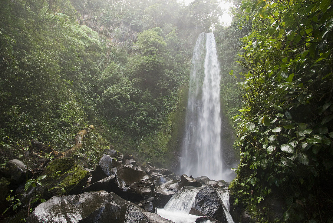 Waterfall, Los Tuxtlas. Veracruz, Mexico