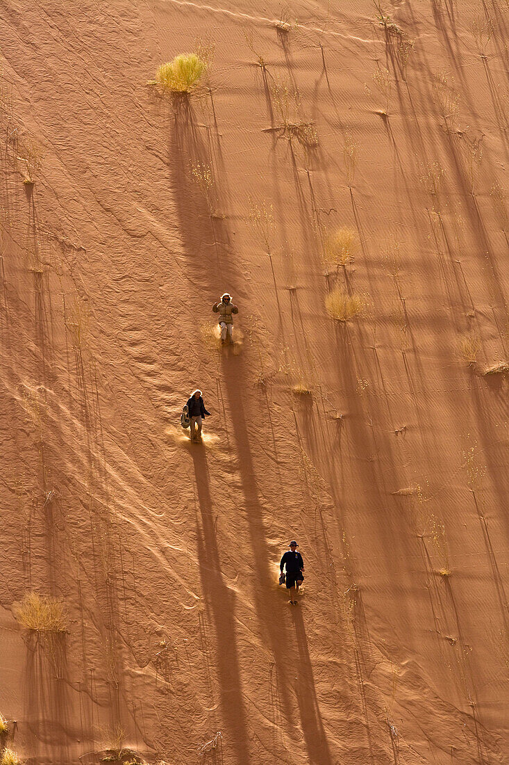 People running down a dune in the dead vlei, Namibia