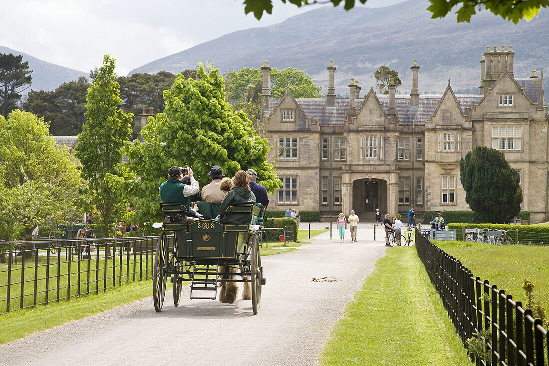 Horse carriage in front of Muckross House, Ireland