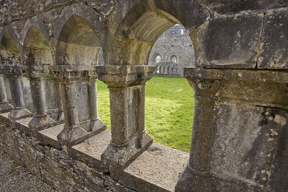 Windows inside Cong Abbey, Ireland