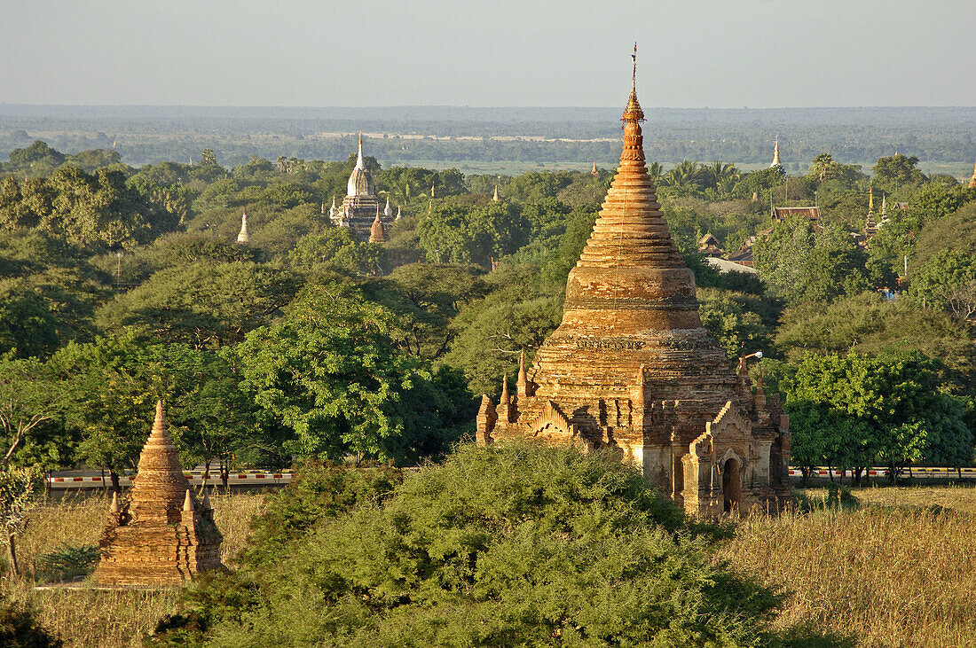 the ancient temple city of Pagan,  Bagan at Myanmar,  Burma,  Birma