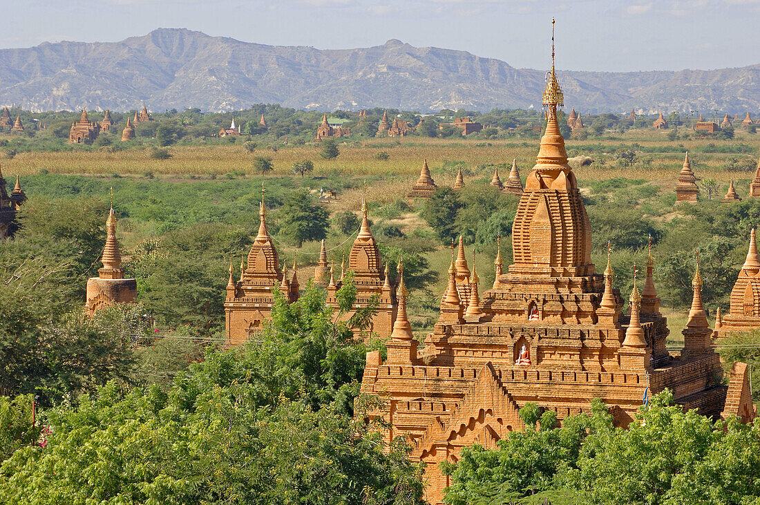 the ancient temple city of Pagan,  Bagan at Myanmar,  Burma,  Birma