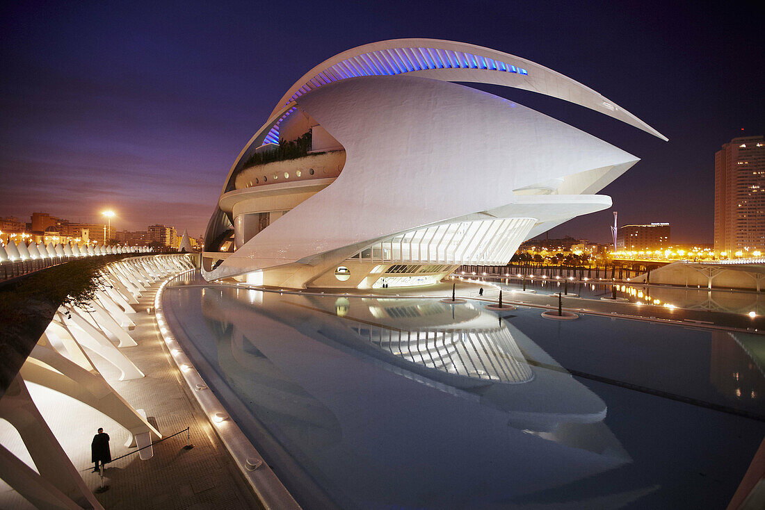 Queen Sofia Palace of the Arts,  City of Arts and Sciences,  Valencia. Comunidad Valenciana,  Spain