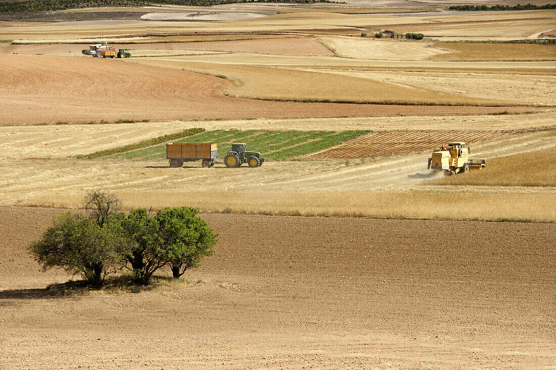 España. Castile-La Mancha. Ciudad Real province, harvesting near Tembleque.