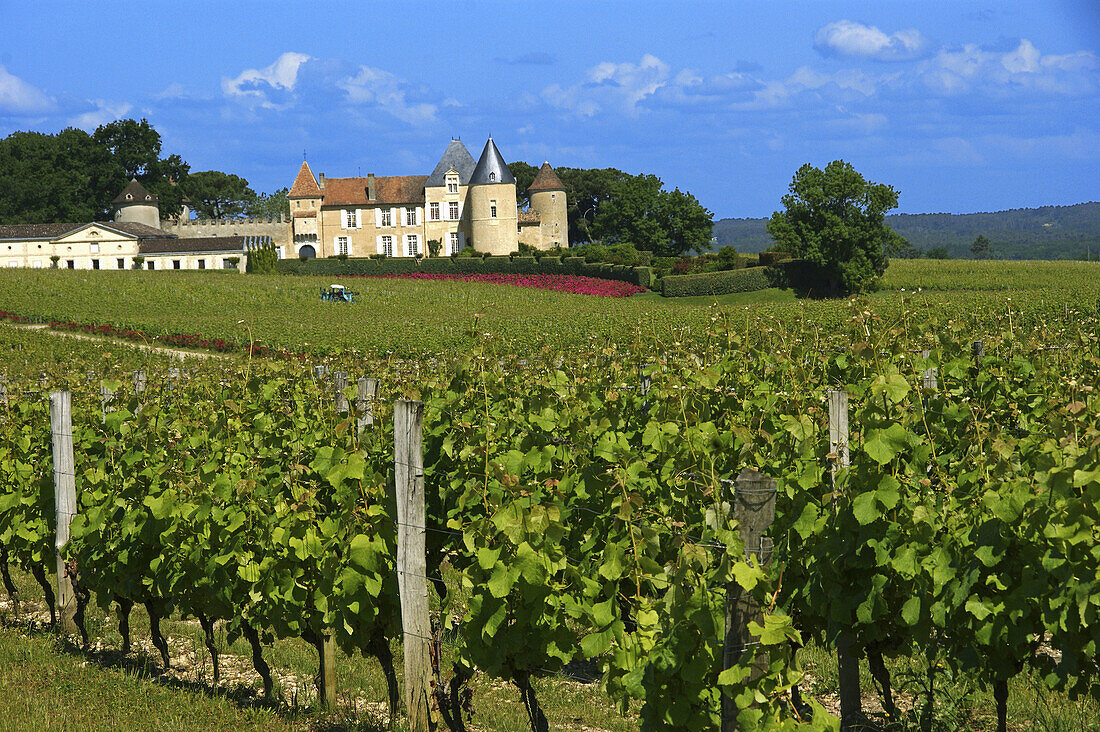 France. Gironde. the famed ´ Château d´Yquem ´,  in the Sauternes Bordeaux wine district.