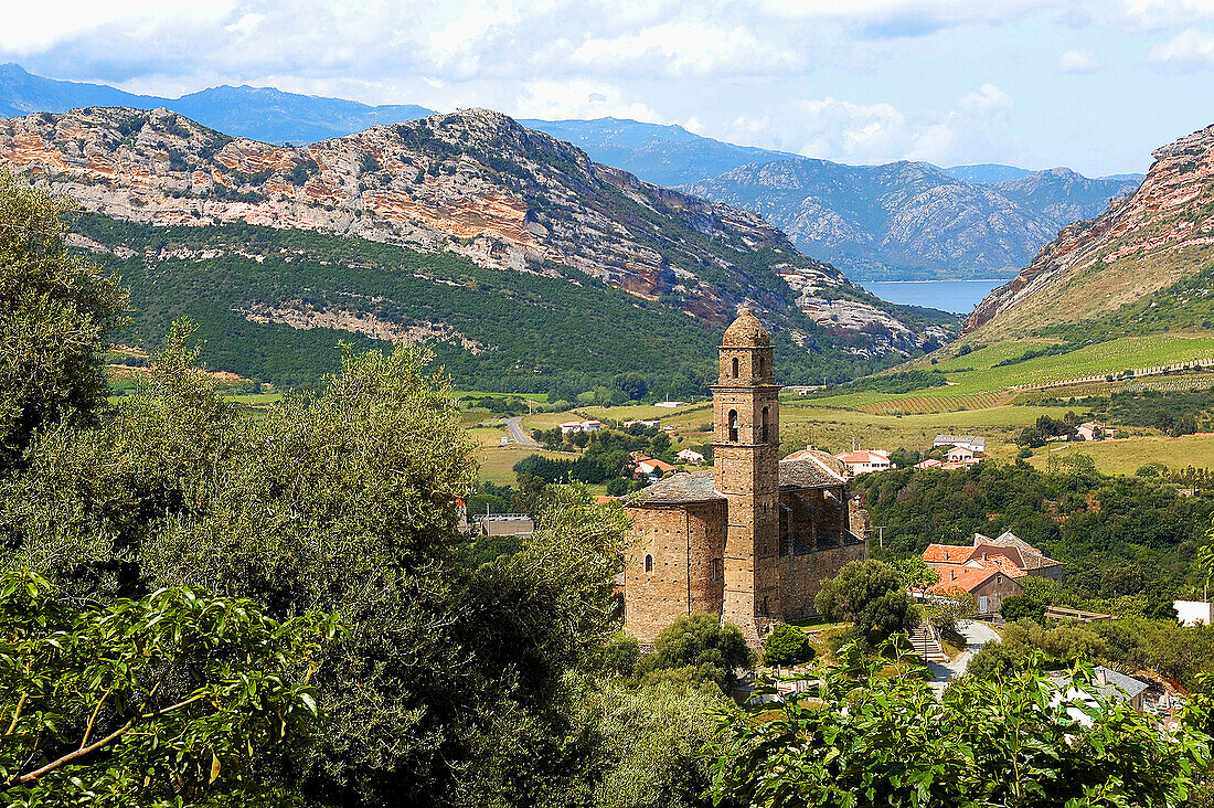Vineyards of the AOC (Appellation d’origine contrôlée) Patrimonio Wine and AOC Muscatel of the Corsica Cape