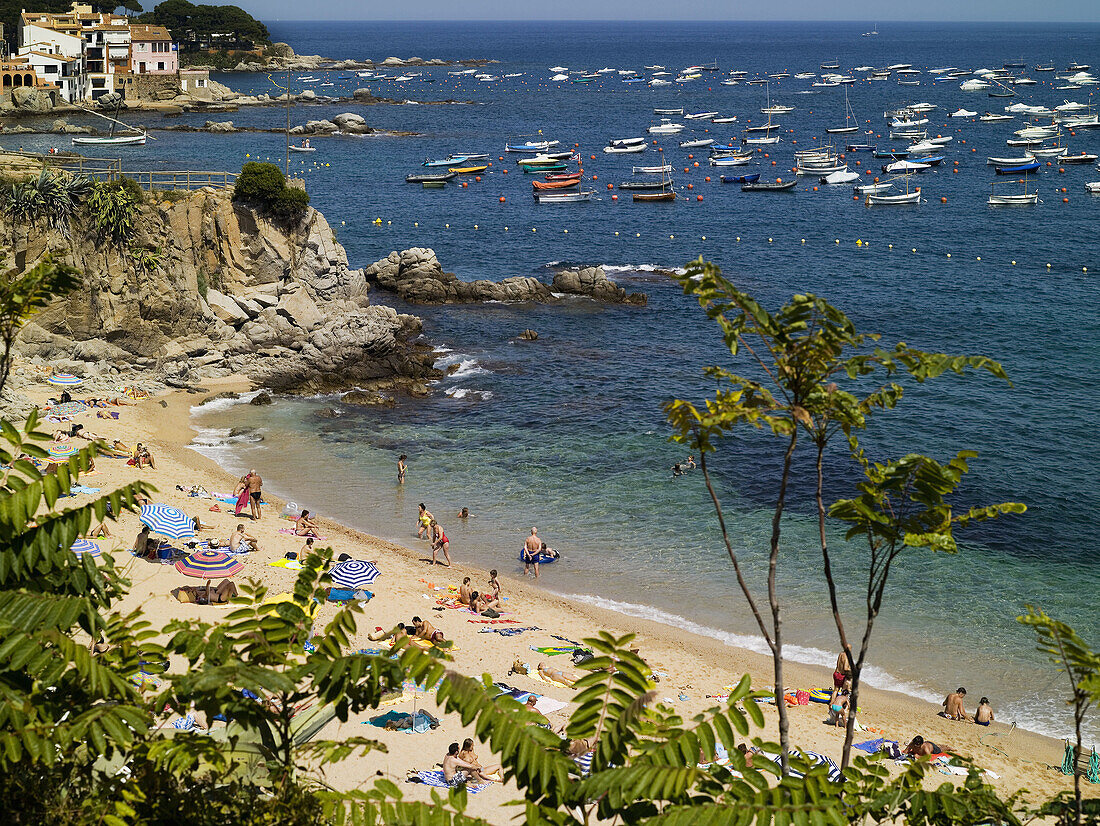 Beach,  Calella de Palafrugell,  Costa Brava. Girona province,  Catalonia,  Spain