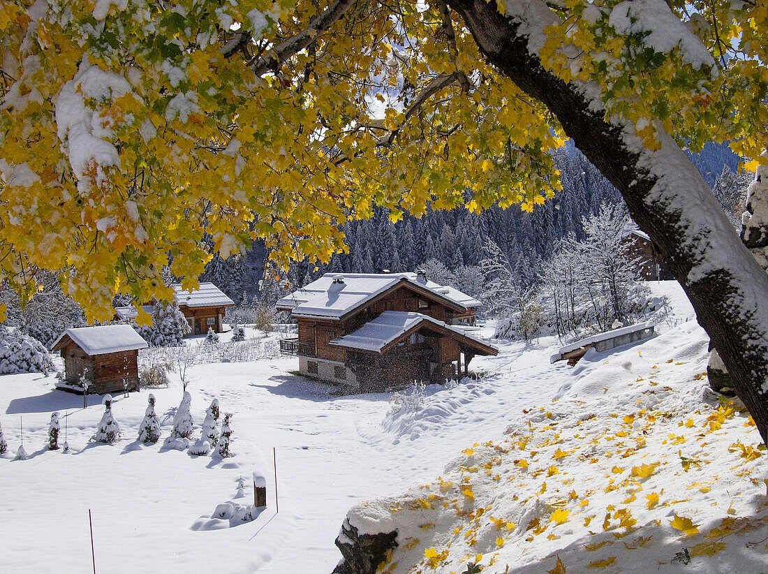 MONTROC  CHAMONIX  HAUTE SAVOIE  FRANCE