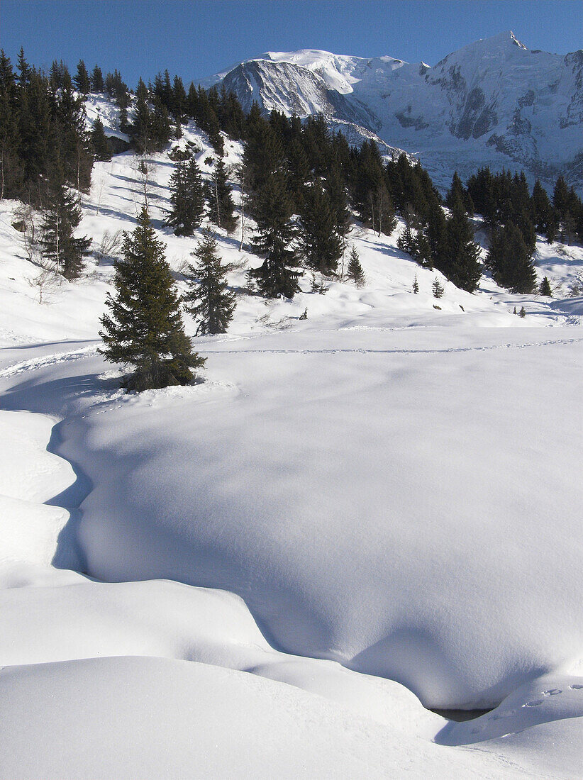 le prarion  les houches  haute savoie  france